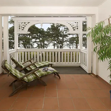 Seeadler Adlerhorst *